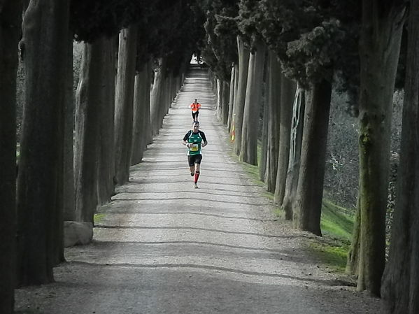 Premi per vedere l'immagine alla massima grandezza