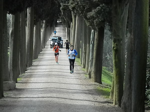 Premi per vedere l'immagine alla massima grandezza