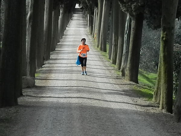 Premi per vedere l'immagine alla massima grandezza