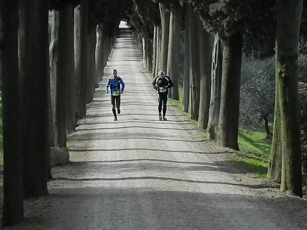 Premi per vedere l'immagine alla massima grandezza