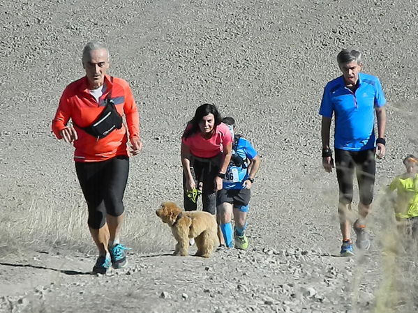 Premi per vedere l'immagine alla massima grandezza