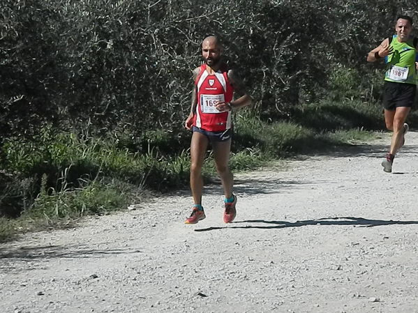 Premi per vedere l'immagine alla massima grandezza