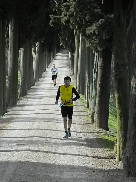 Premi per vedere l'immagine alla massima grandezza