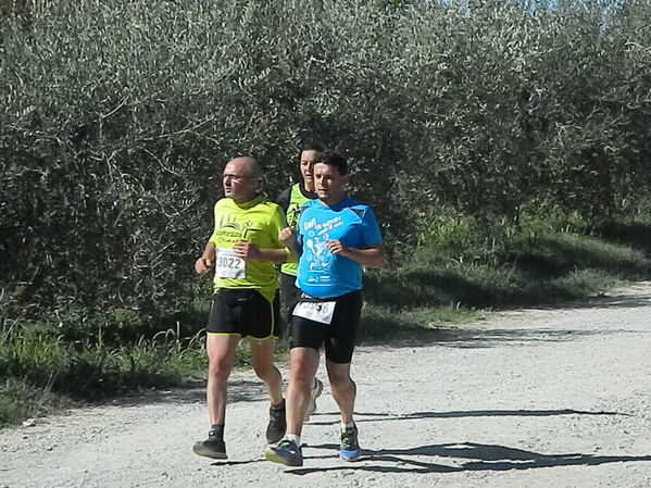 Premi per vedere l'immagine alla massima grandezza