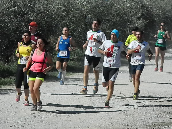 Premi per vedere l'immagine alla massima grandezza