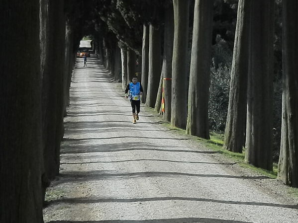 Premi per vedere l'immagine alla massima grandezza