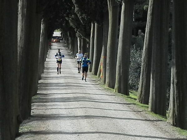 Premi per vedere l'immagine alla massima grandezza