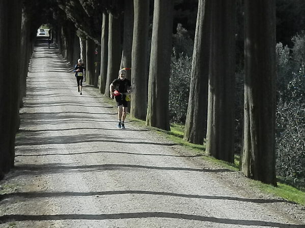 Premi per vedere l'immagine alla massima grandezza