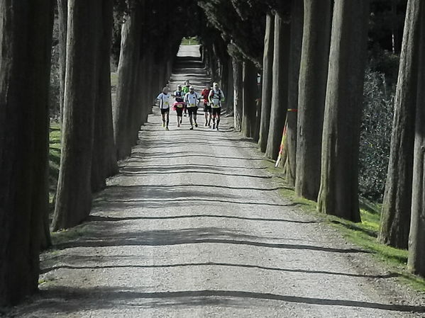 Premi per vedere l'immagine alla massima grandezza