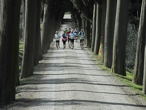 Premi per vedere l'immagine alla massima grandezza