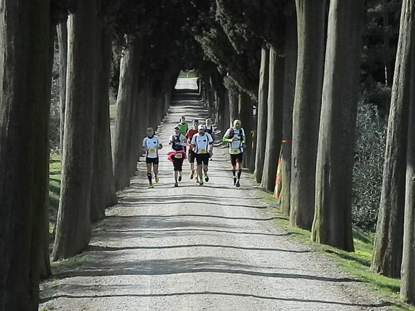 Premi per vedere l'immagine alla massima grandezza