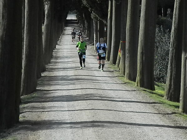 Premi per vedere l'immagine alla massima grandezza