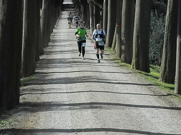 Premi per vedere l'immagine alla massima grandezza