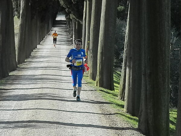 Premi per vedere l'immagine alla massima grandezza