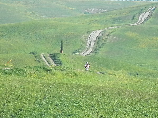 Premi per vedere l'immagine alla massima grandezza