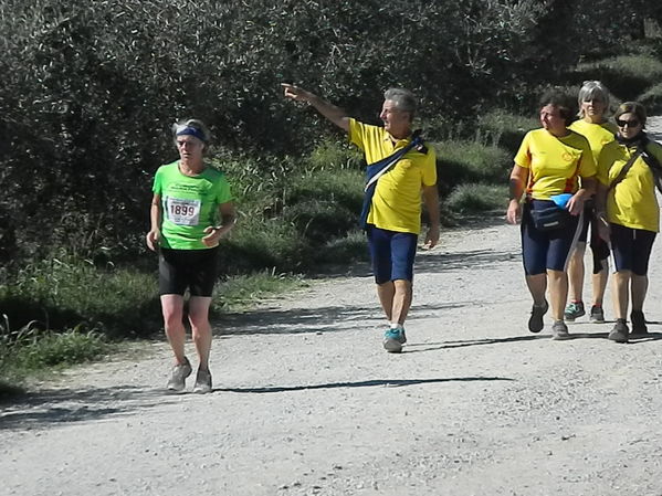 Premi per vedere l'immagine alla massima grandezza