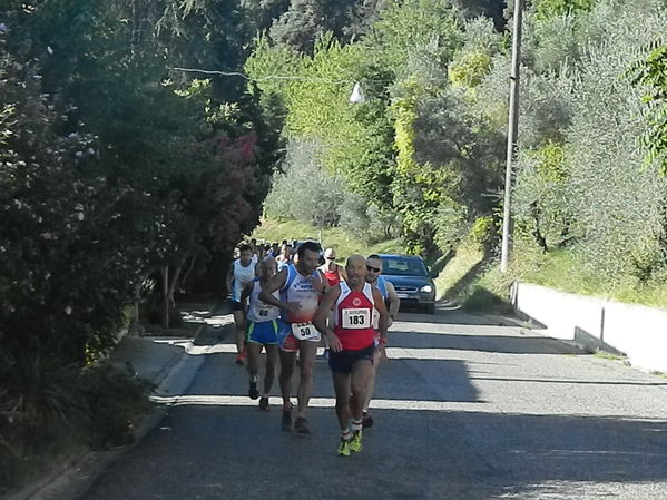 Premi per vedere l'immagine alla massima grandezza