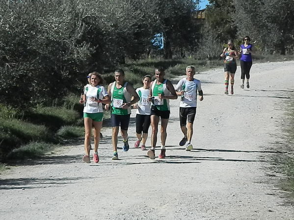 Premi per vedere l'immagine alla massima grandezza