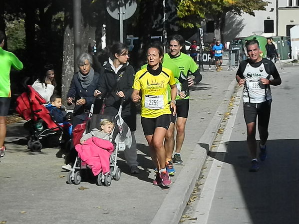 Premi per vedere l'immagine alla massima grandezza