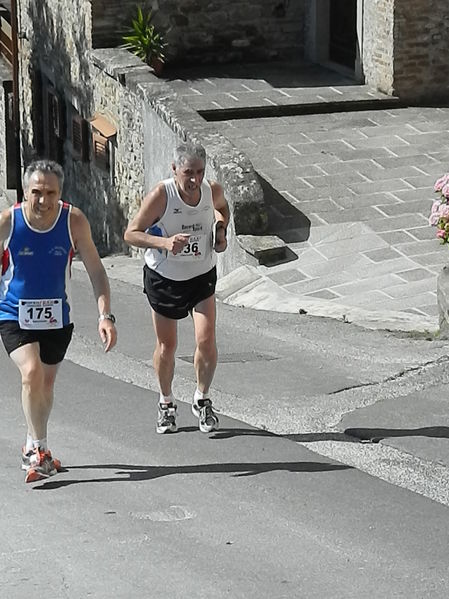 Premi per vedere l'immagine alla massima grandezza