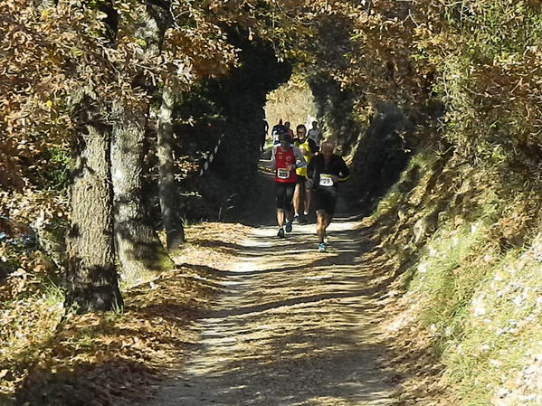 Premi per vedere l'immagine alla massima grandezza