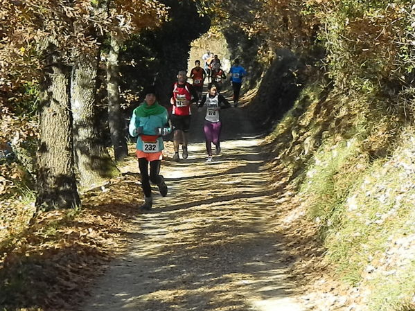 Premi per vedere l'immagine alla massima grandezza