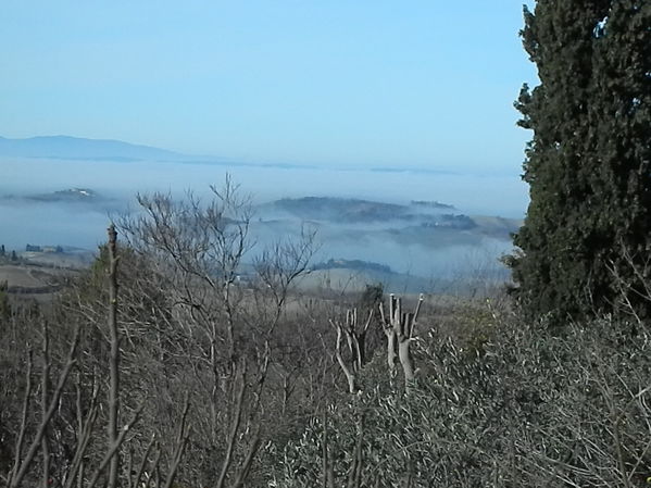 Premi per vedere l'immagine alla massima grandezza