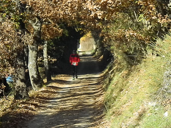 Premi per vedere l'immagine alla massima grandezza