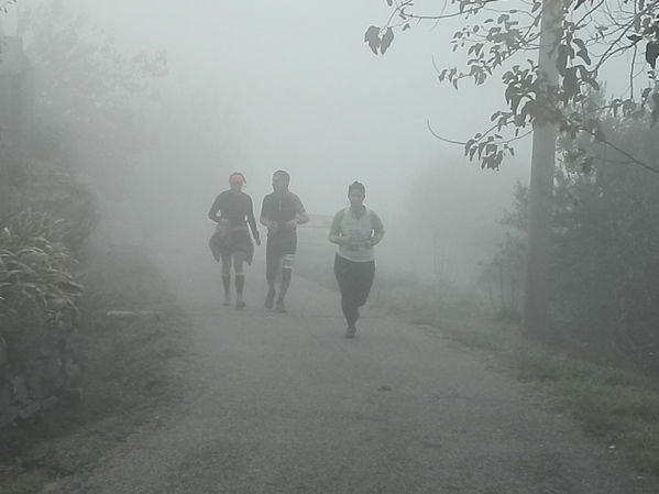 Premi per vedere l'immagine alla massima grandezza