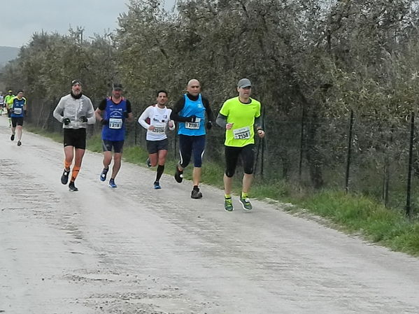 Premi per vedere l'immagine alla massima grandezza