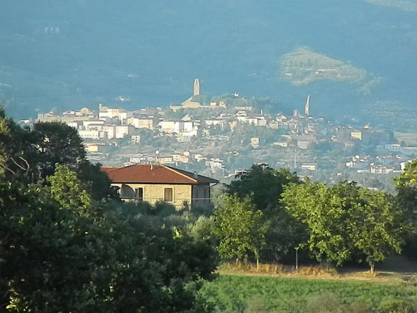 Premi per vedere l'immagine alla massima grandezza