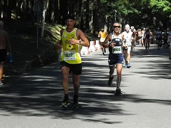 Premi per vedere l'immagine alla massima grandezza