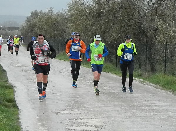 Premi per vedere l'immagine alla massima grandezza