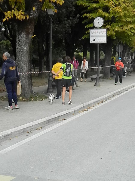 Premi per vedere l'immagine alla massima grandezza