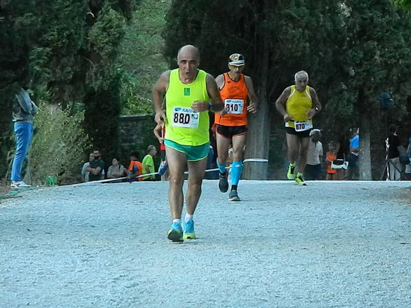 Premi per vedere l'immagine alla massima grandezza