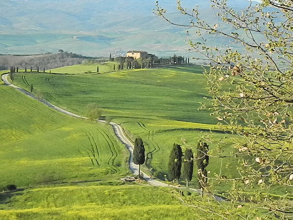 Premi per vedere l'immagine alla massima grandezza