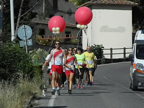 Premi per vedere l'immagine alla massima grandezza