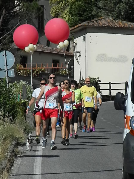 Premi per vedere l'immagine alla massima grandezza