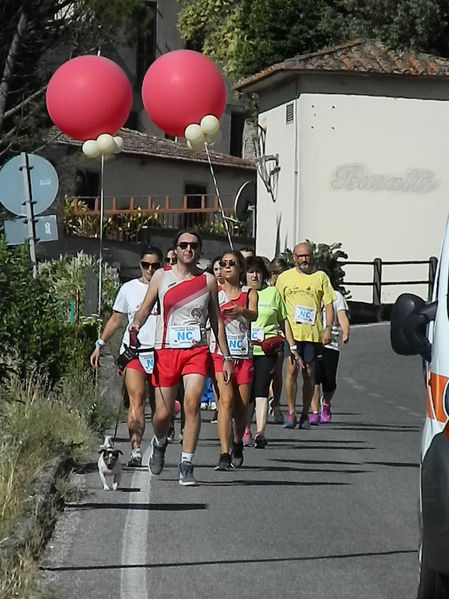 Premi per vedere l'immagine alla massima grandezza