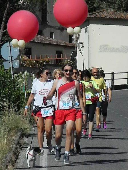 Premi per vedere l'immagine alla massima grandezza