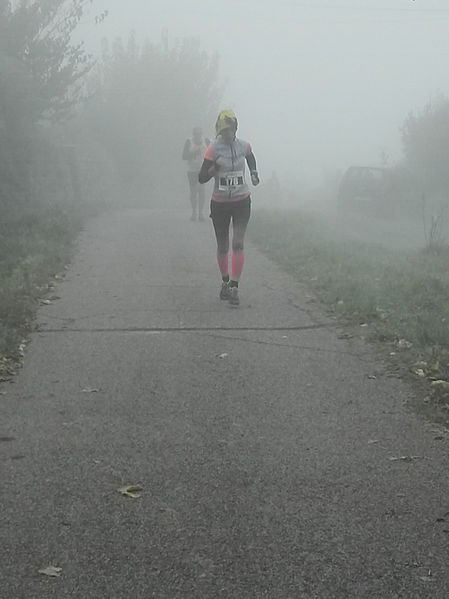 Premi per vedere l'immagine alla massima grandezza