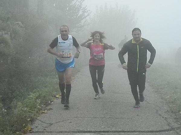 Premi per vedere l'immagine alla massima grandezza