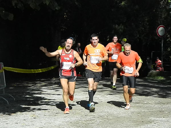 Premi per vedere l'immagine alla massima grandezza