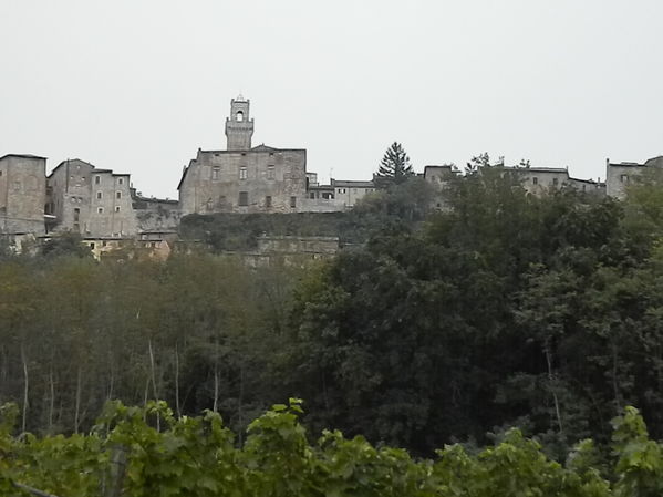 Premi per vedere l'immagine alla massima grandezza