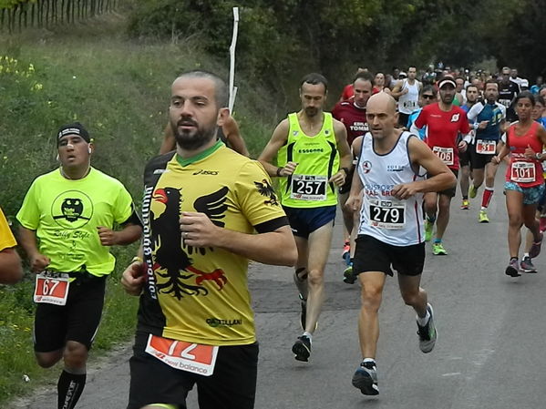 Premi per vedere l'immagine alla massima grandezza