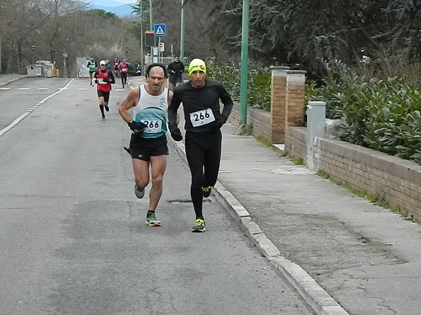 Premi per vedere l'immagine alla massima grandezza