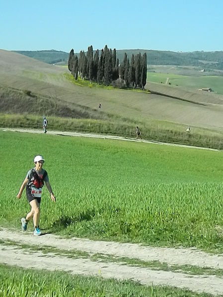 Premi per vedere l'immagine alla massima grandezza