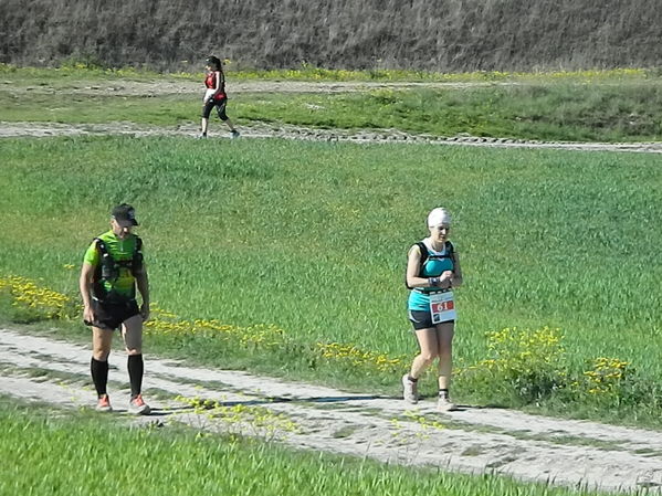 Premi per vedere l'immagine alla massima grandezza