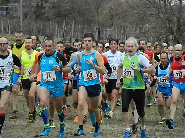 Premi per vedere l'immagine alla massima grandezza