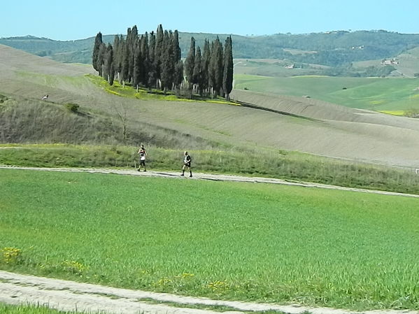 Premi per vedere l'immagine alla massima grandezza